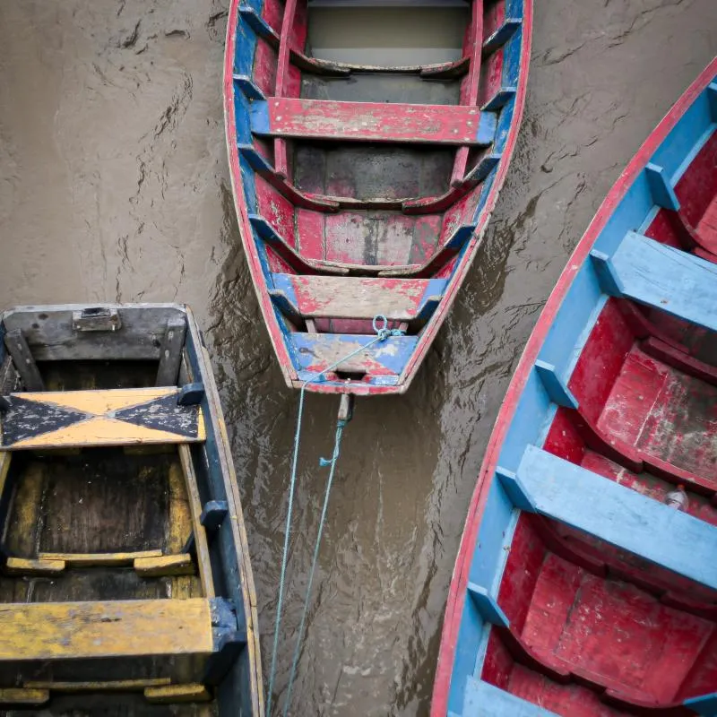 Imagem da campanha Rifa do Pézinho