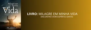Livro Milagre Em Minha Vida - Encontro com Espírito Santo