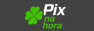 PIX NA HORA - TODOS OS DIAS